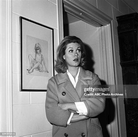 sexy elizabeth montgomery|2,339 Elizabeth Montgomery Images Stock Photos